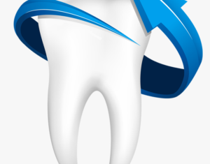 The Invisible Hero: The Importance of Enamel in Dental Health